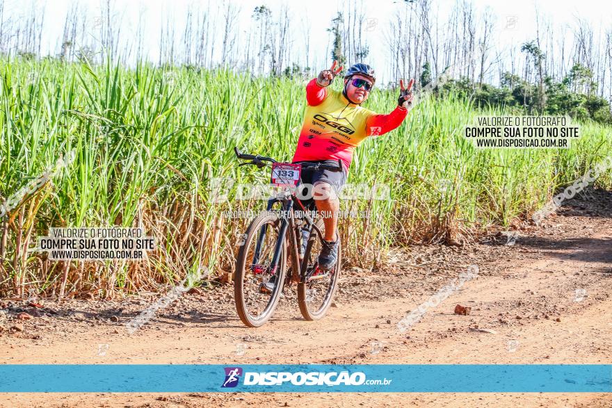 Circuito AEJ MTB 2023