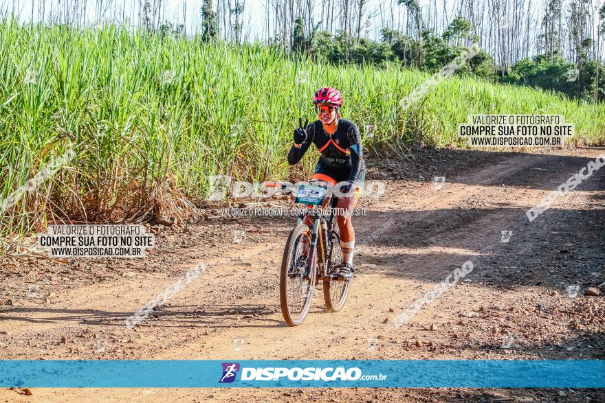 Circuito AEJ MTB 2023