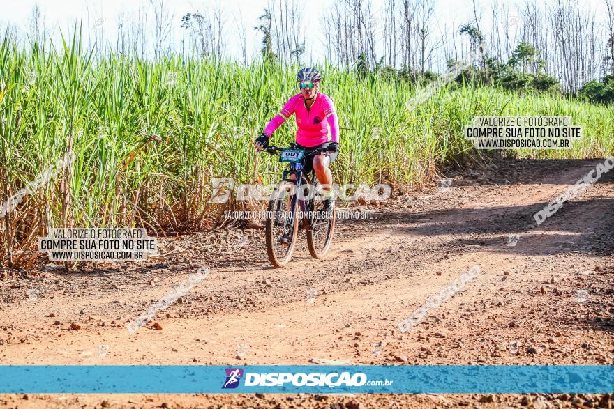 Circuito AEJ MTB 2023