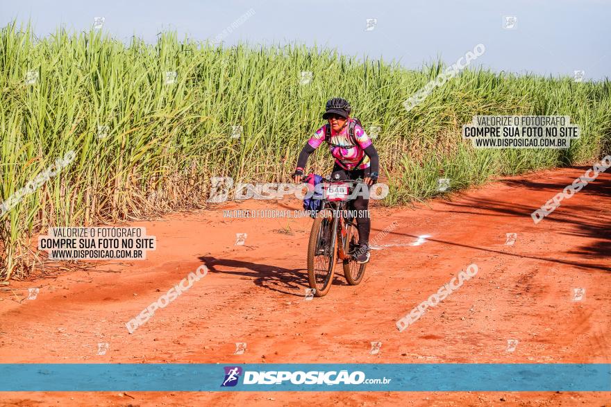 Circuito AEJ MTB 2023