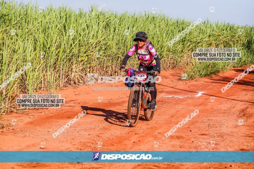 Circuito AEJ MTB 2023