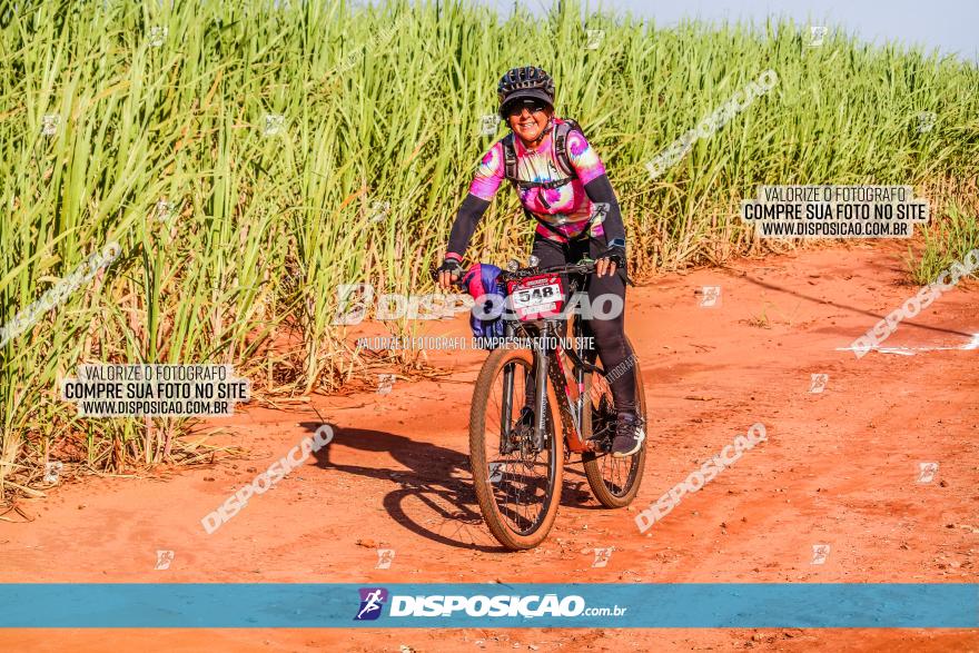 Circuito AEJ MTB 2023