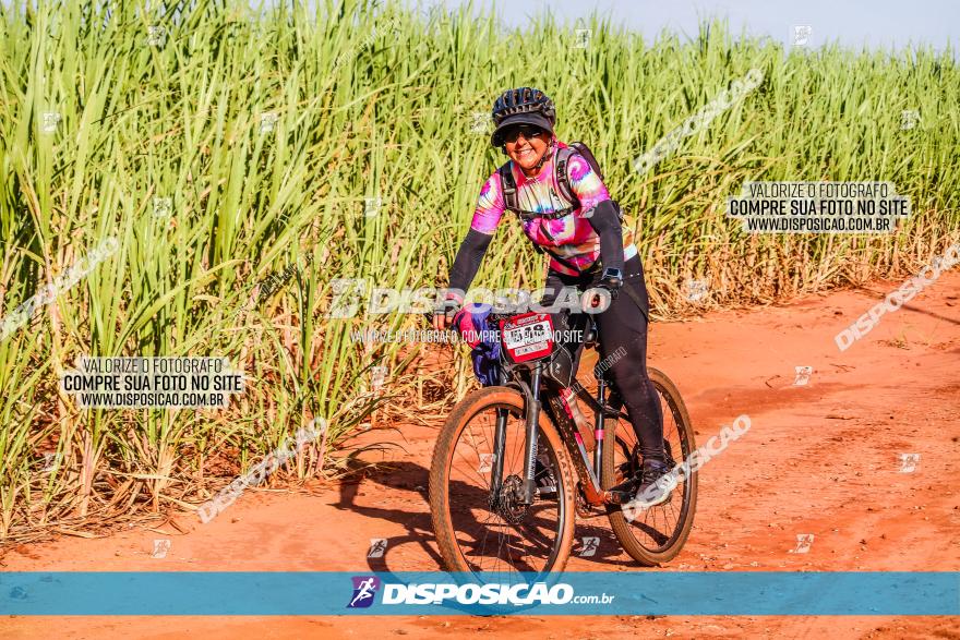 Circuito AEJ MTB 2023