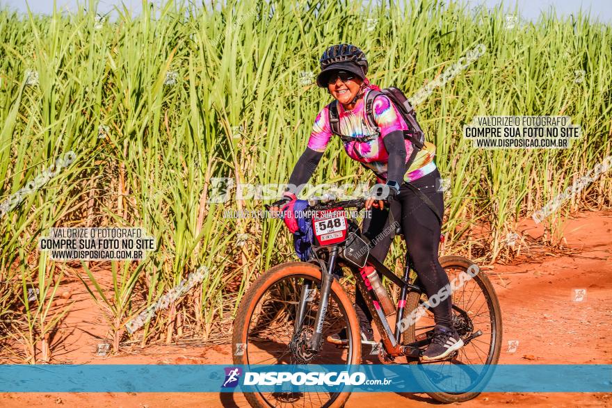 Circuito AEJ MTB 2023