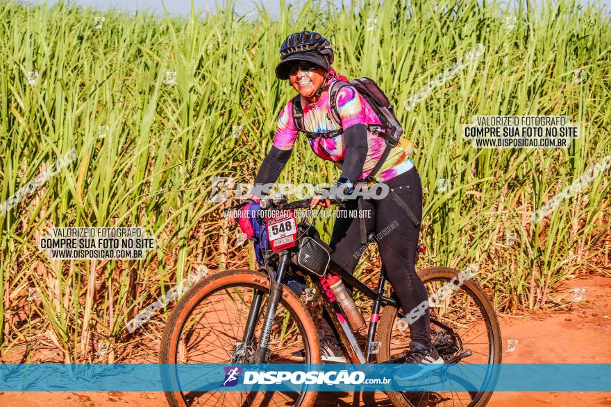 Circuito AEJ MTB 2023