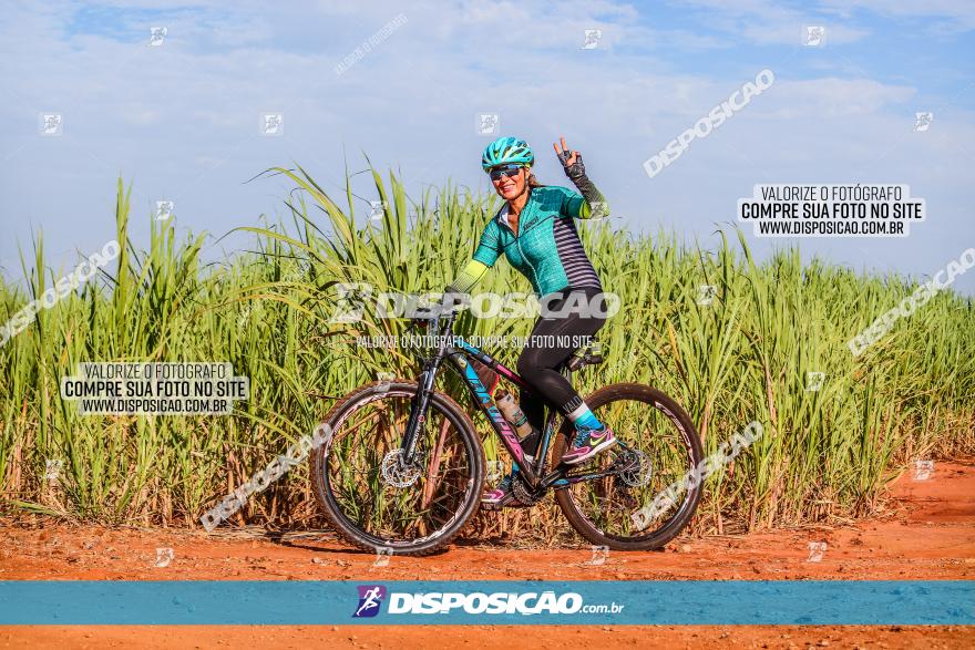 Circuito AEJ MTB 2023