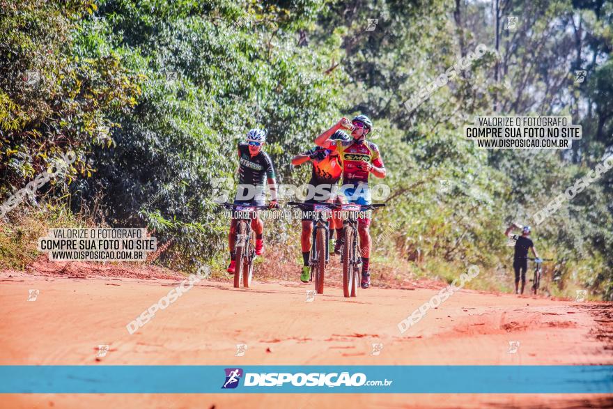 Circuito AEJ MTB 2023