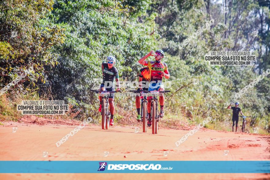 Circuito AEJ MTB 2023