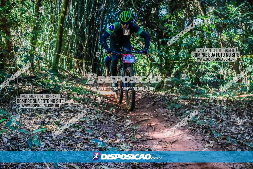 Circuito AEJ MTB 2023