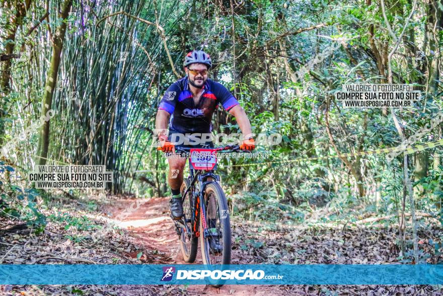 Circuito AEJ MTB 2023