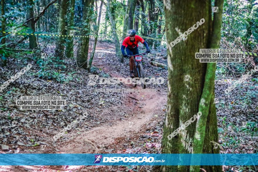 Circuito AEJ MTB 2023