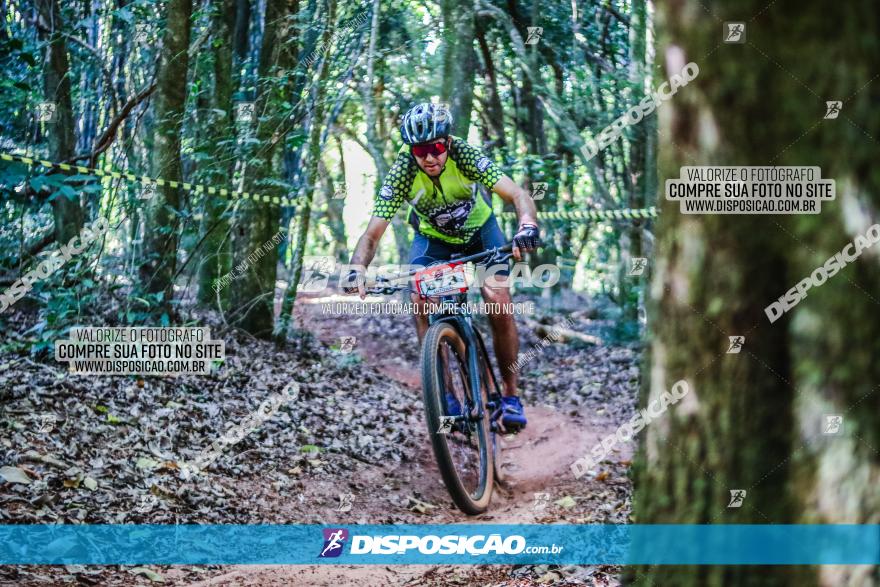 Circuito AEJ MTB 2023