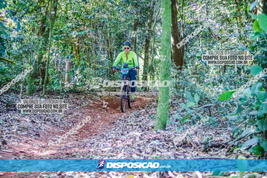 Circuito AEJ MTB 2023