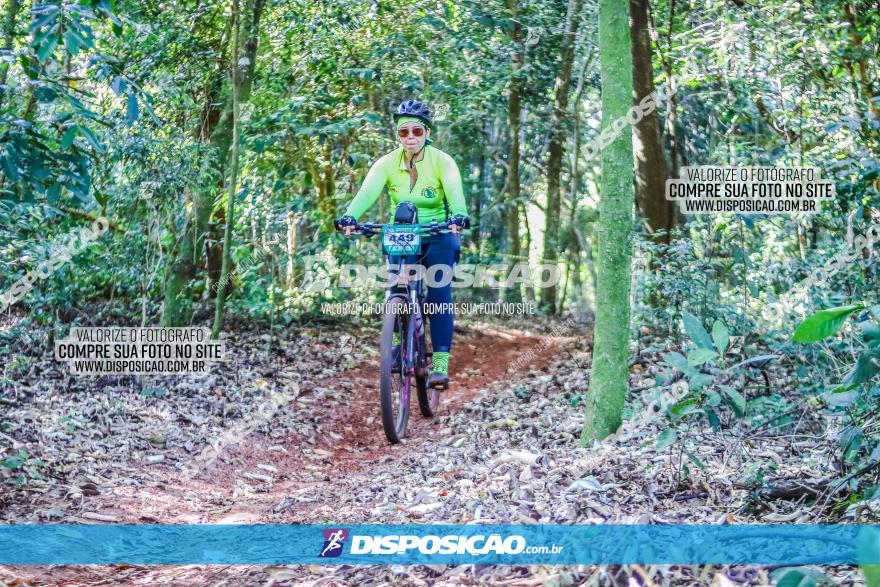 Circuito AEJ MTB 2023