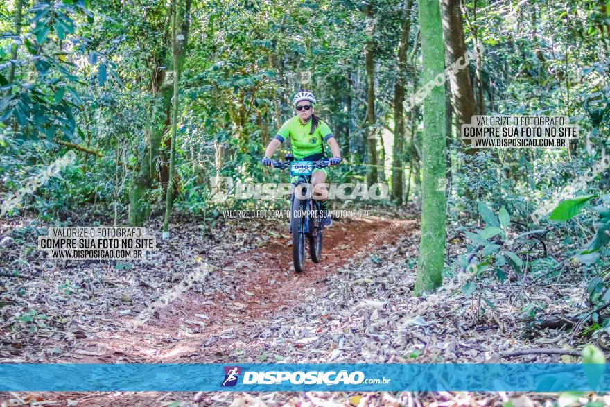 Circuito AEJ MTB 2023