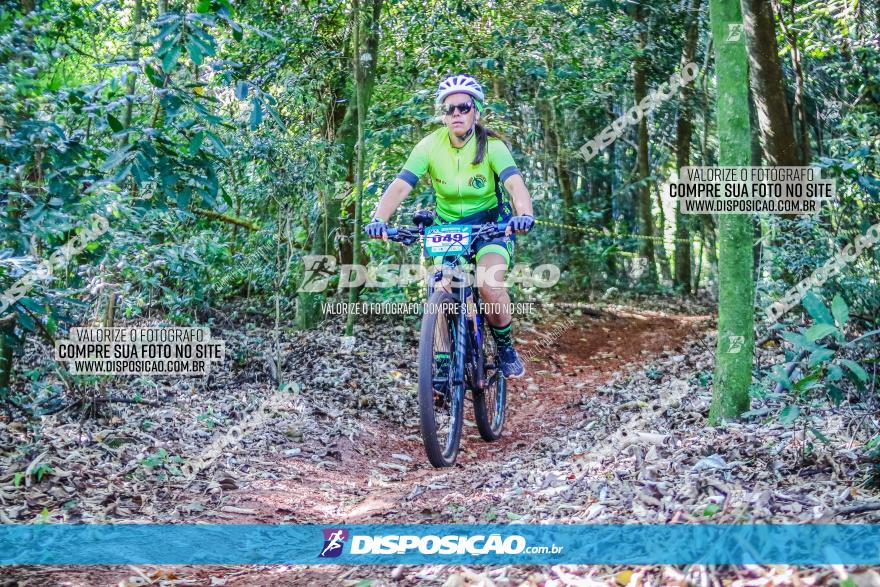 Circuito AEJ MTB 2023