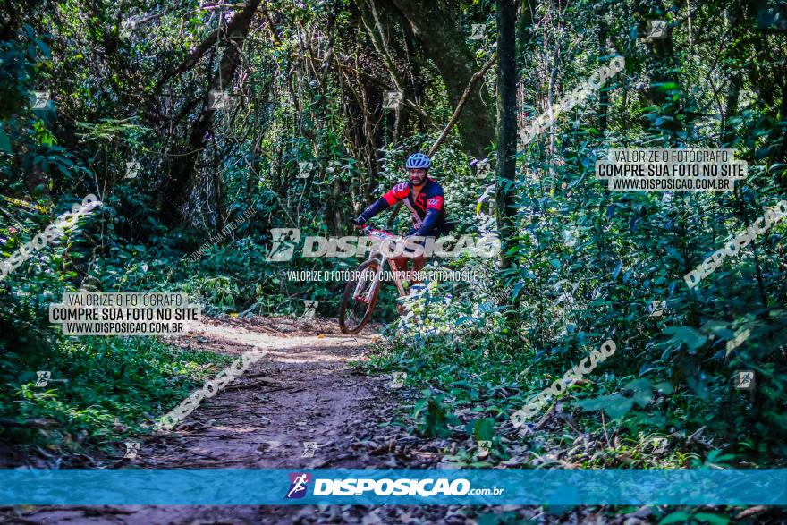 Circuito AEJ MTB 2023