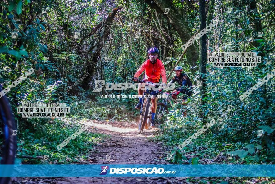 Circuito AEJ MTB 2023