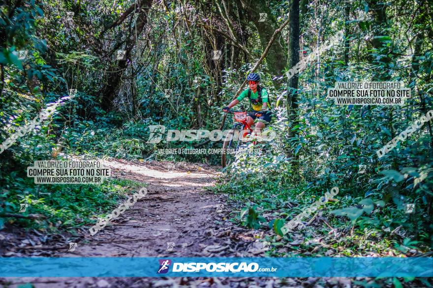 Circuito AEJ MTB 2023