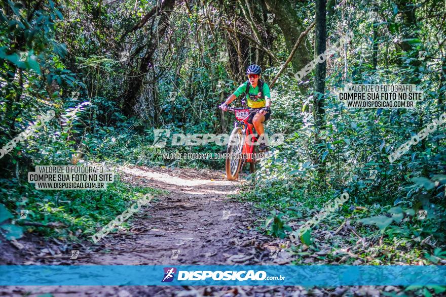 Circuito AEJ MTB 2023