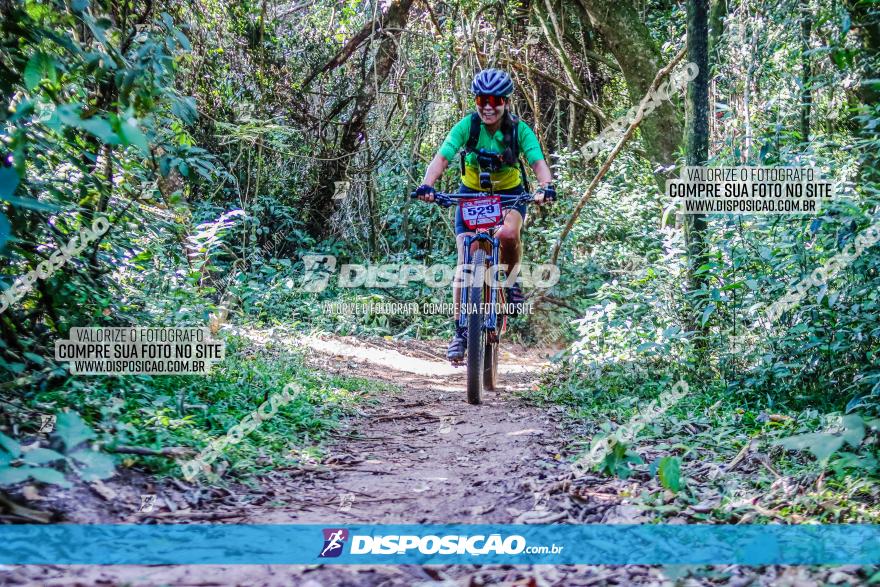 Circuito AEJ MTB 2023