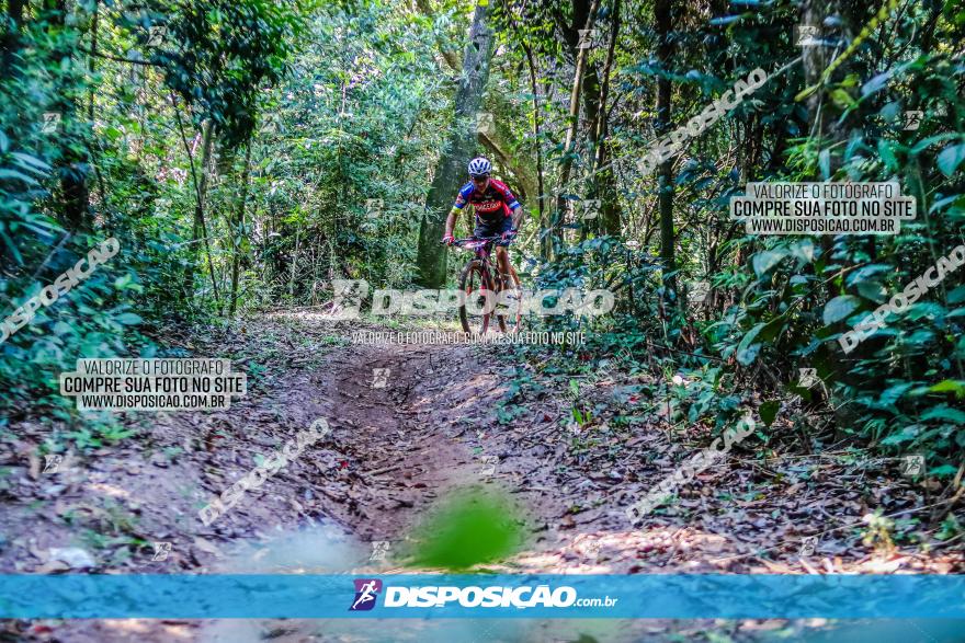 Circuito AEJ MTB 2023