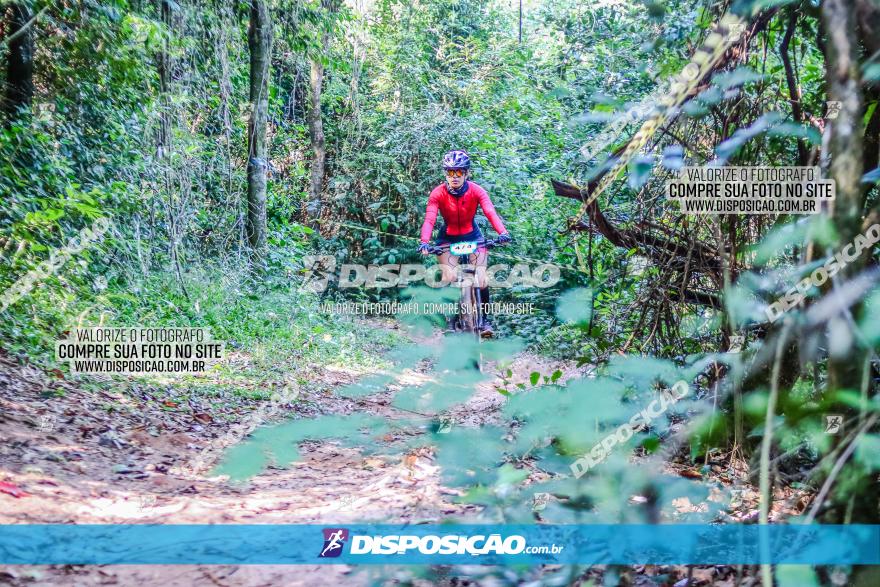 Circuito AEJ MTB 2023