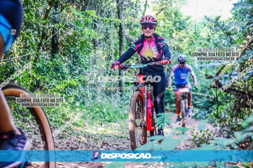 Circuito AEJ MTB 2023