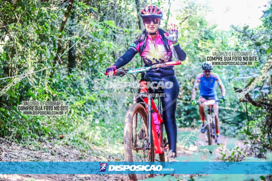 Circuito AEJ MTB 2023