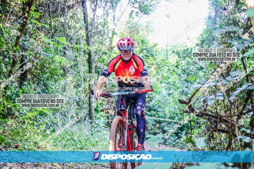 Circuito AEJ MTB 2023