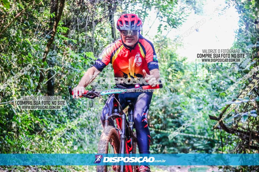 Circuito AEJ MTB 2023