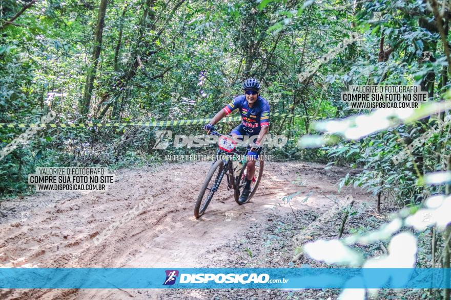 Circuito AEJ MTB 2023