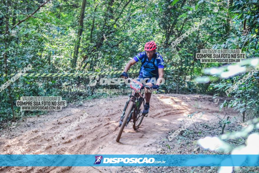 Circuito AEJ MTB 2023