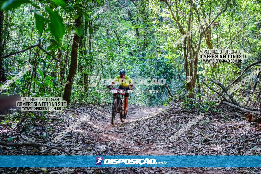 Circuito AEJ MTB 2023