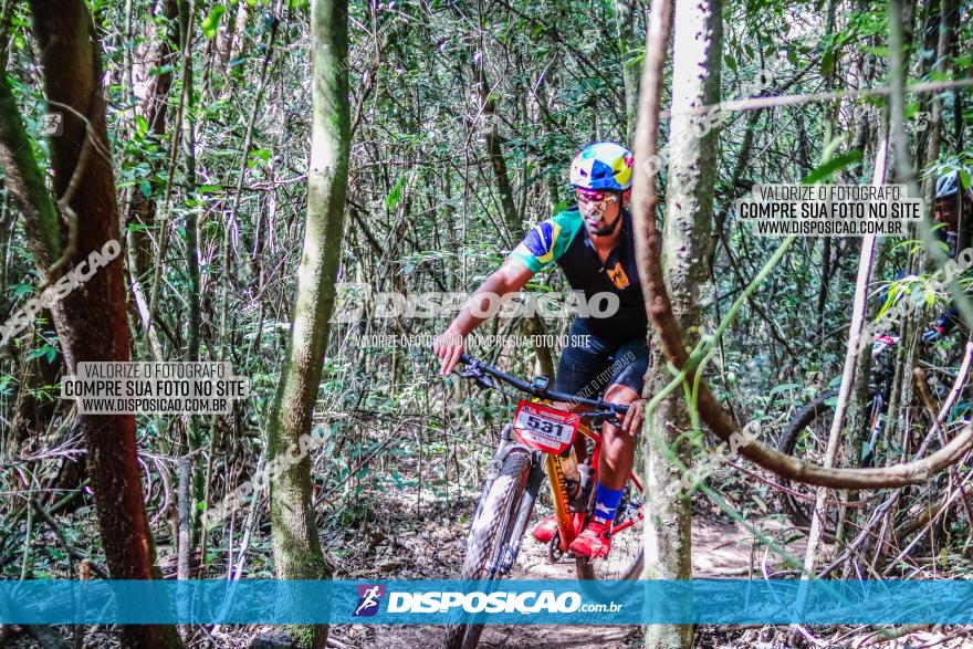 Circuito AEJ MTB 2023