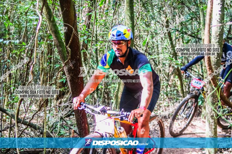 Circuito AEJ MTB 2023