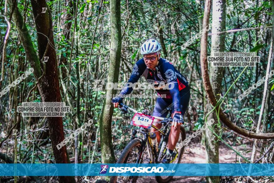 Circuito AEJ MTB 2023