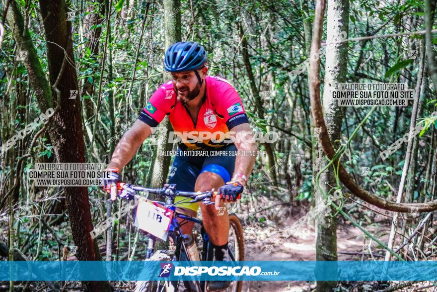 Circuito AEJ MTB 2023