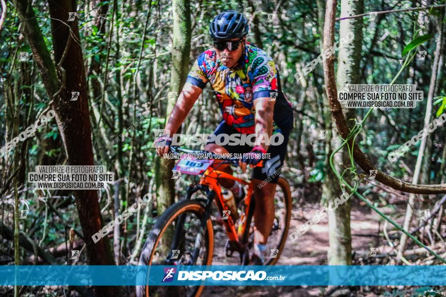 Circuito AEJ MTB 2023