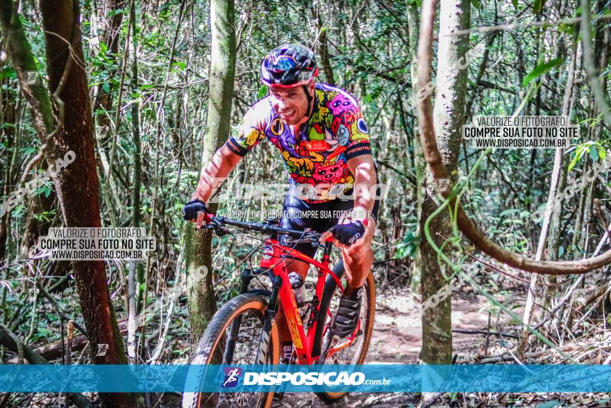 Circuito AEJ MTB 2023