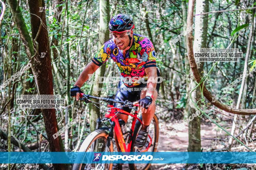 Circuito AEJ MTB 2023