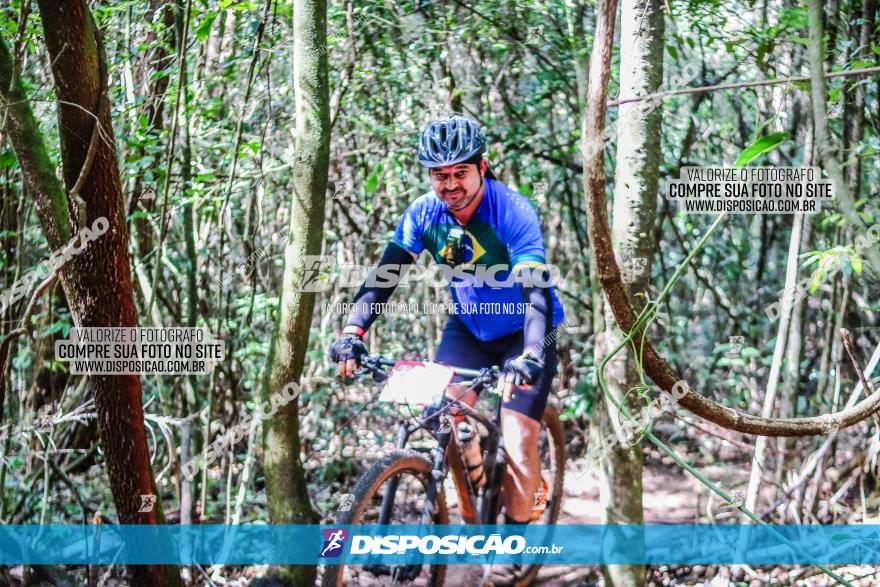 Circuito AEJ MTB 2023