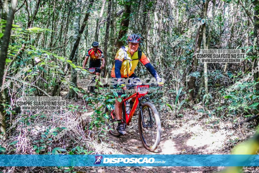 Circuito AEJ MTB 2023