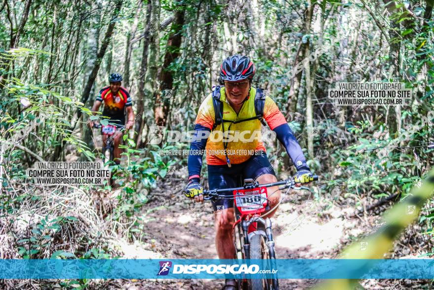 Circuito AEJ MTB 2023