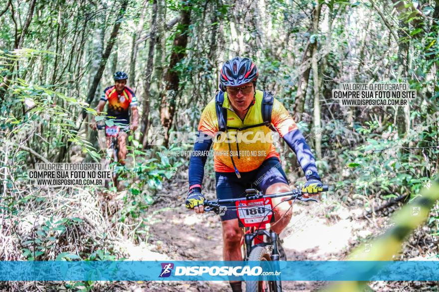 Circuito AEJ MTB 2023