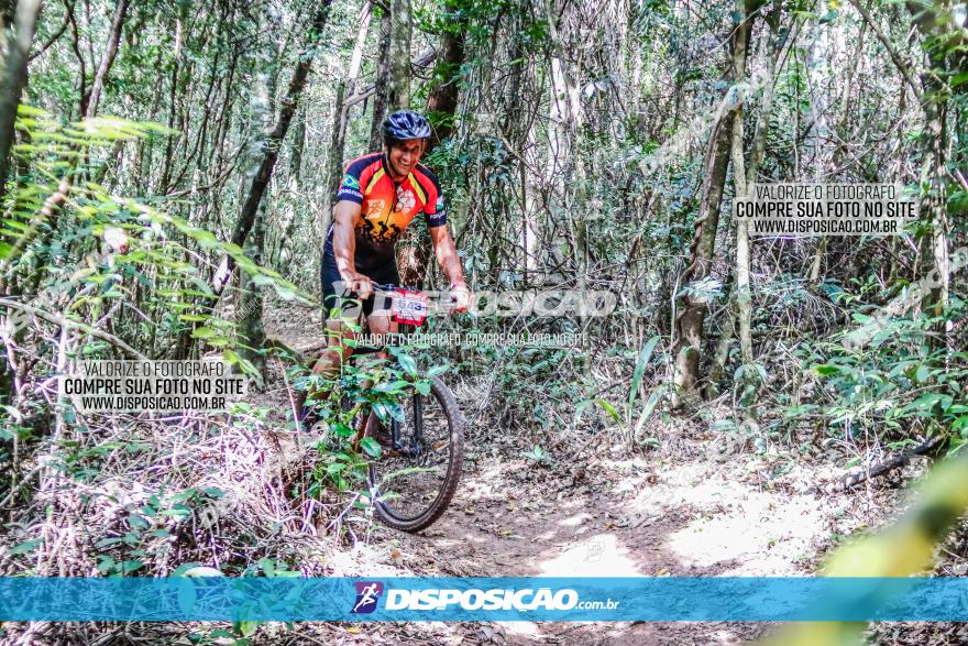 Circuito AEJ MTB 2023