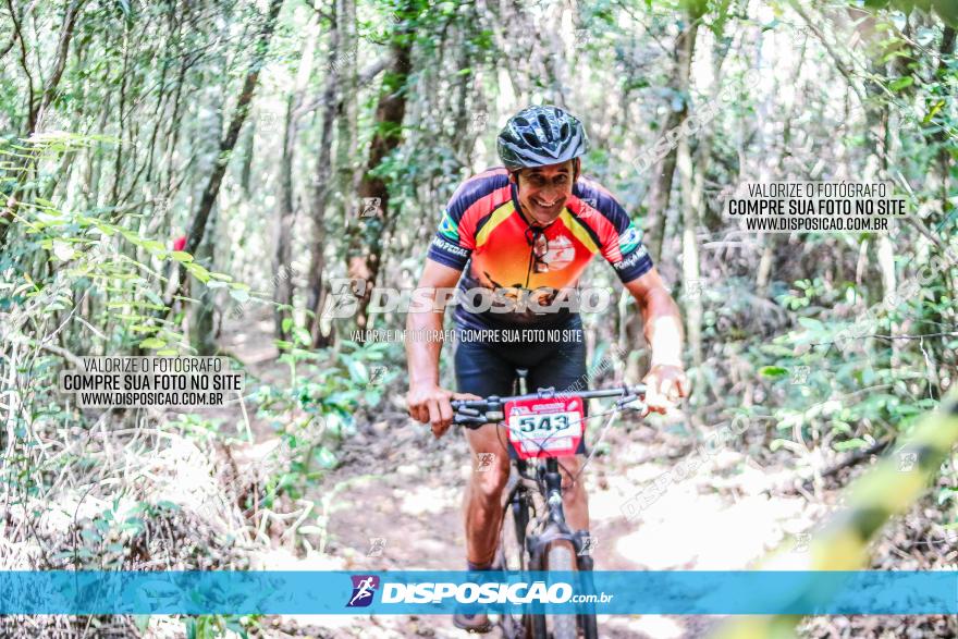 Circuito AEJ MTB 2023