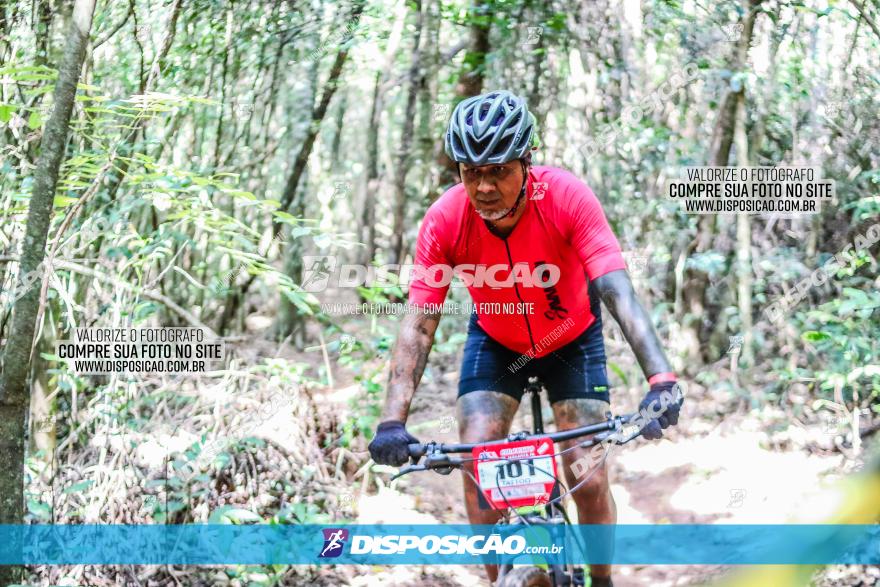 Circuito AEJ MTB 2023