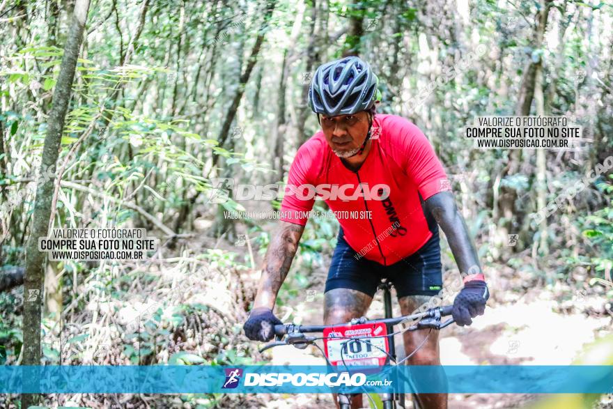 Circuito AEJ MTB 2023