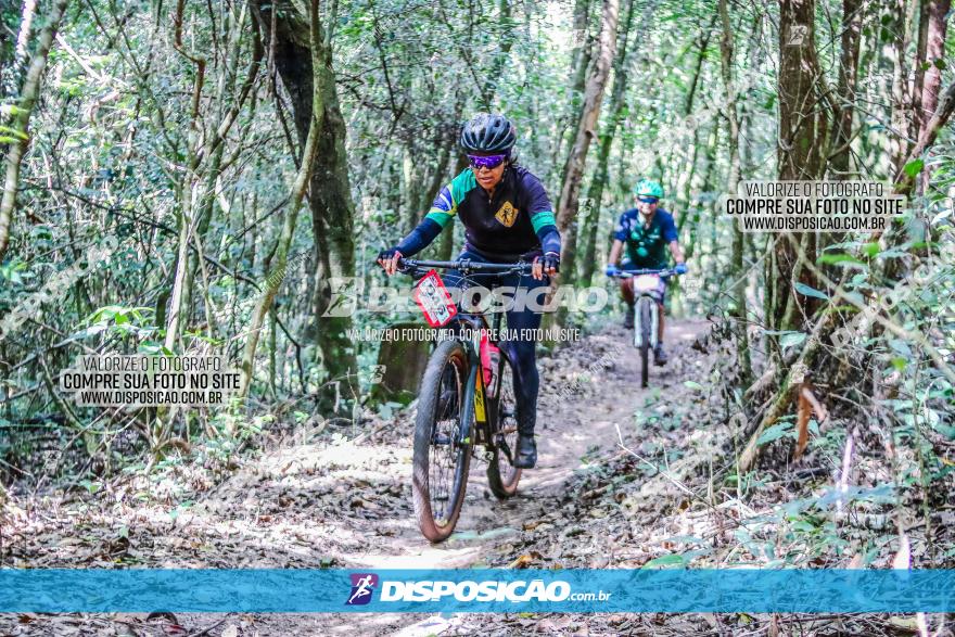 Circuito AEJ MTB 2023